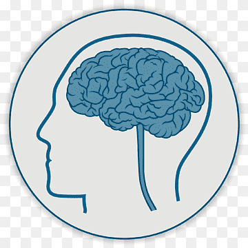 png-transparent-human-brain-neurosurgery-health-medicine-brain-people-human-brain-medicine-thumbnail